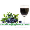 100% Natural blueberry juice concentrate